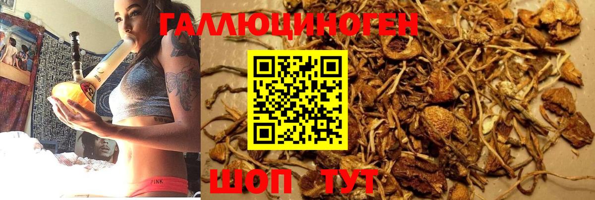 Псилоцибиновые грибы ЛСД  Псилоцибиновые грибы Psilocybine cubensis  Новый Уренгой  Вход с VPN 